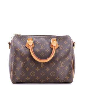 Louis Vuitton Speedy Handbag Canvas 25 #240913L12B